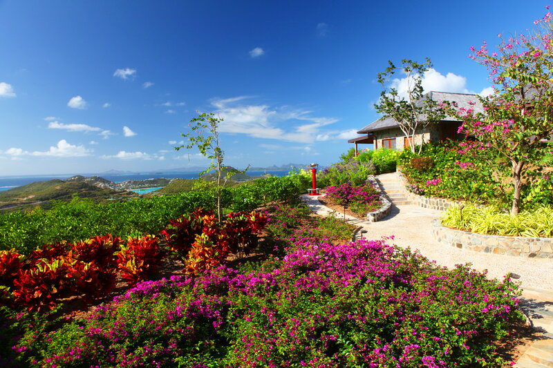 Tropical Garden with House — Blue