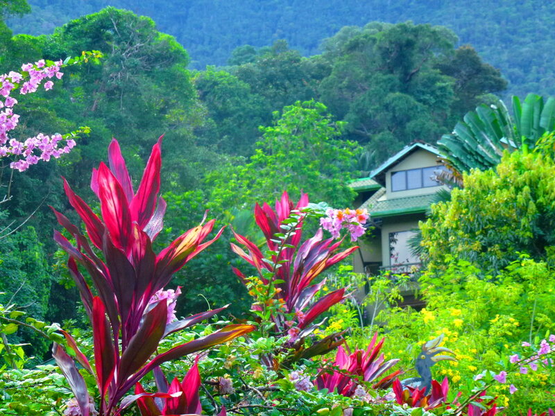 Tropical Garden with House
