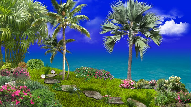 Tropical Garden with Palm Trees — Green, Serene