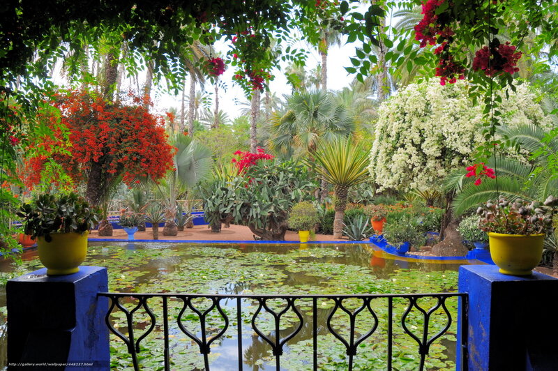 tropical garden with pond