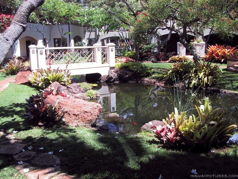 Tropical garden with pond and bridge