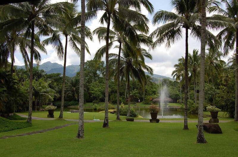 Tropical Garden with Pond — Green