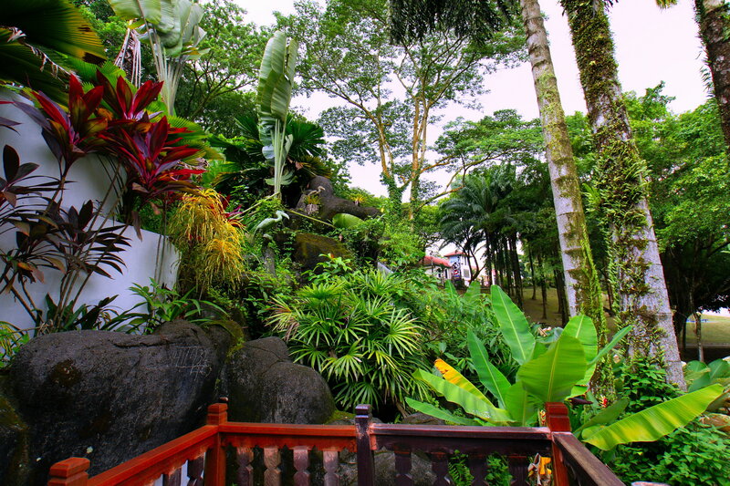 Tropical Garden with Rocks