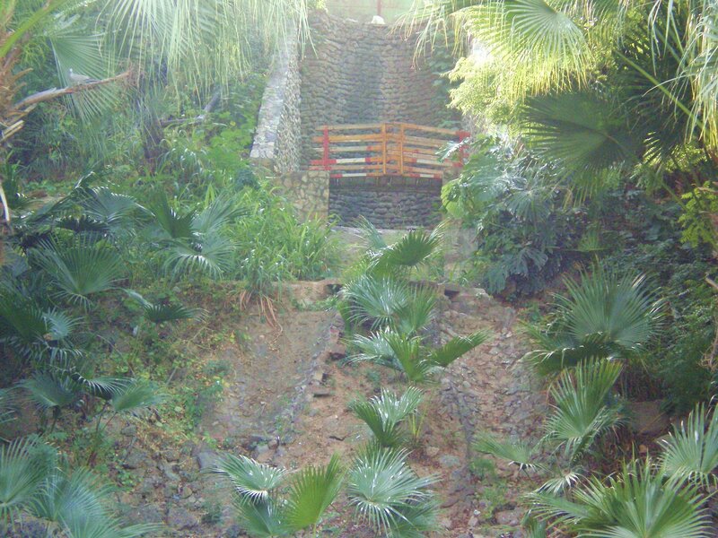 Tropical garden with stone bridge