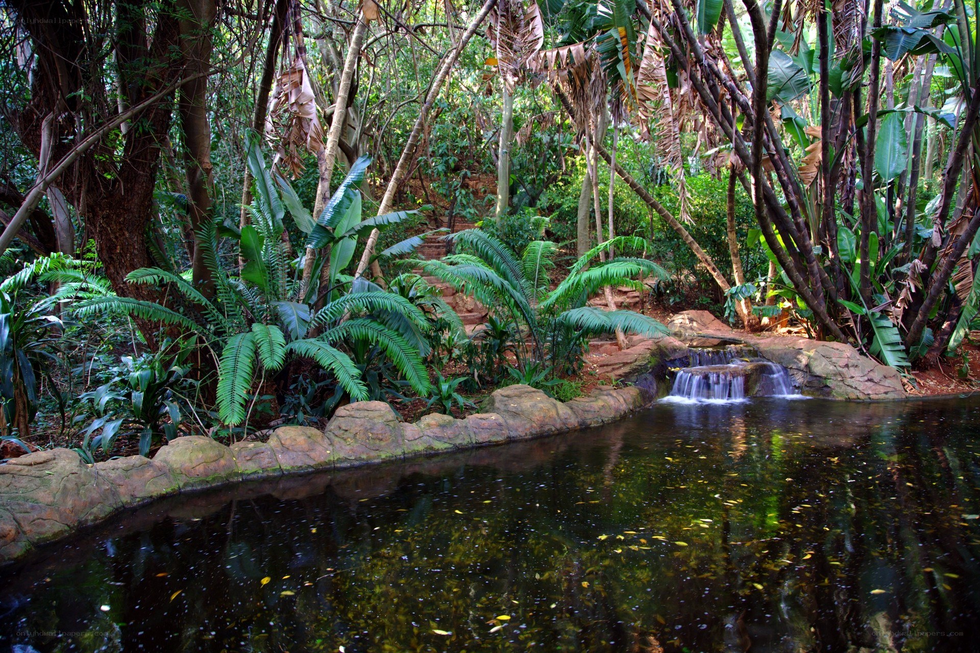 Tropical garden with waterfall