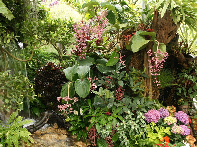 Tropical garden with waterfall
