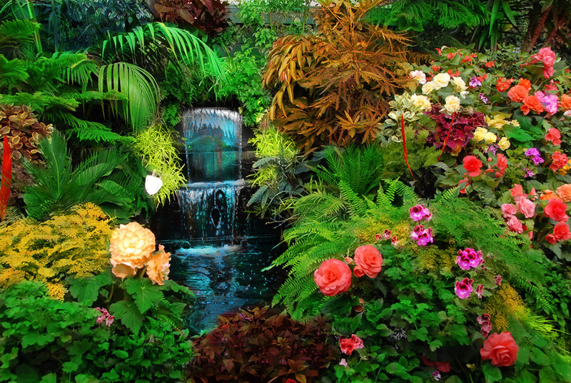 Tropical Garden with Waterfall — Green, Lush