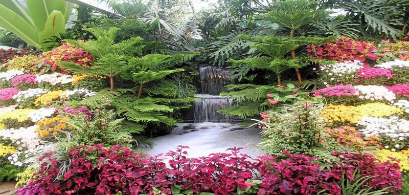 Tropical Garden with Waterfall — Green, Serene, Afternoon