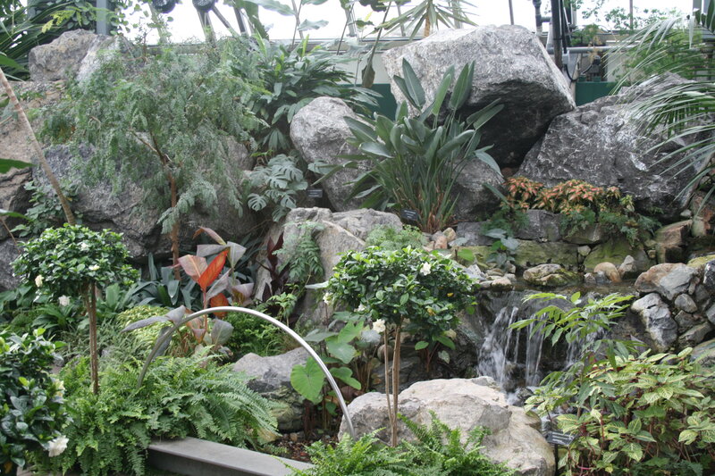 Tropical Garden with Waterfall — Green, Serene