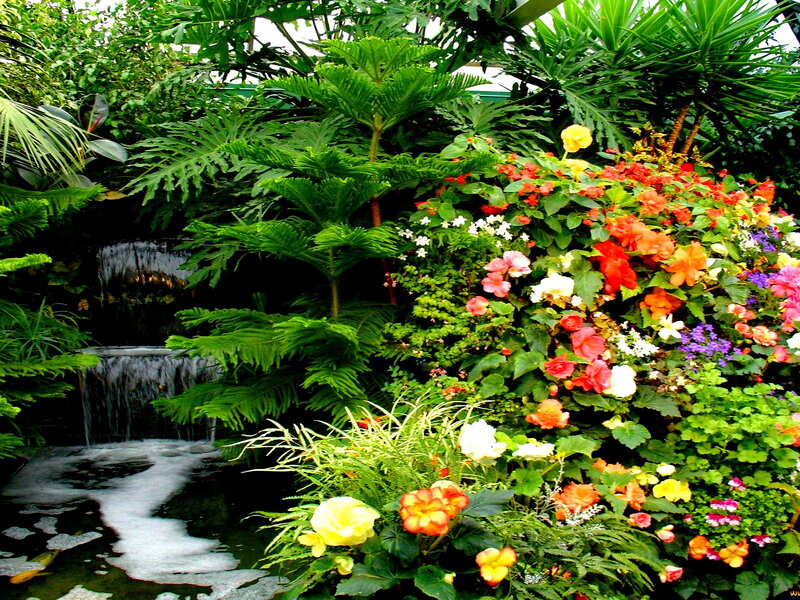 Tropical Garden with Waterfall — Green