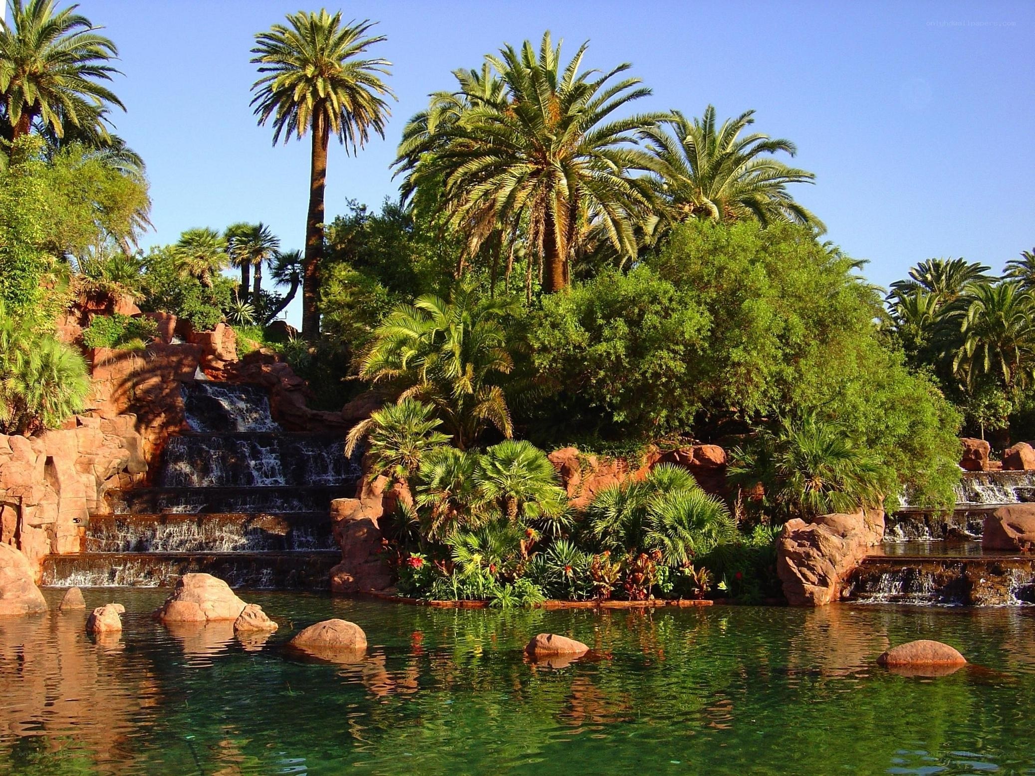 tropical garden with waterfall