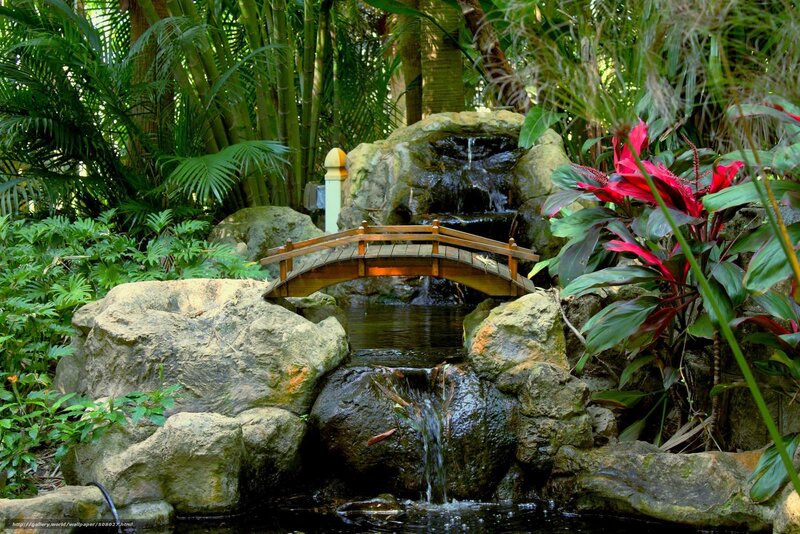 Tropical garden with wooden bridge