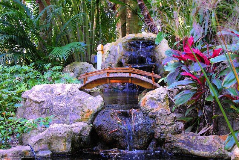 Tropical garden with wooden bridge