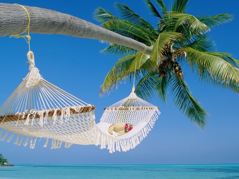 Tropical hammocks under palm tree