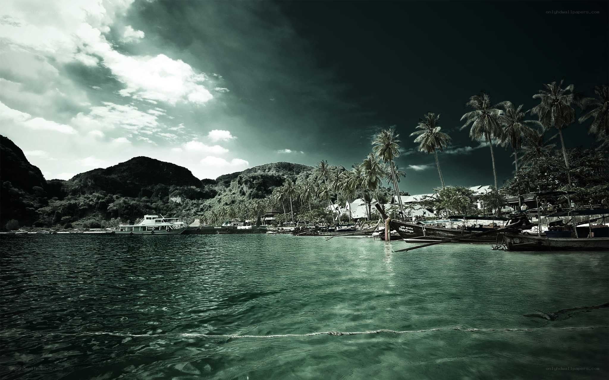 tropical harbor with boats