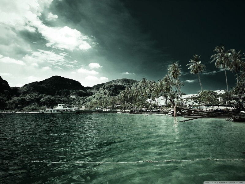 Tropical harbor with boats and palm trees