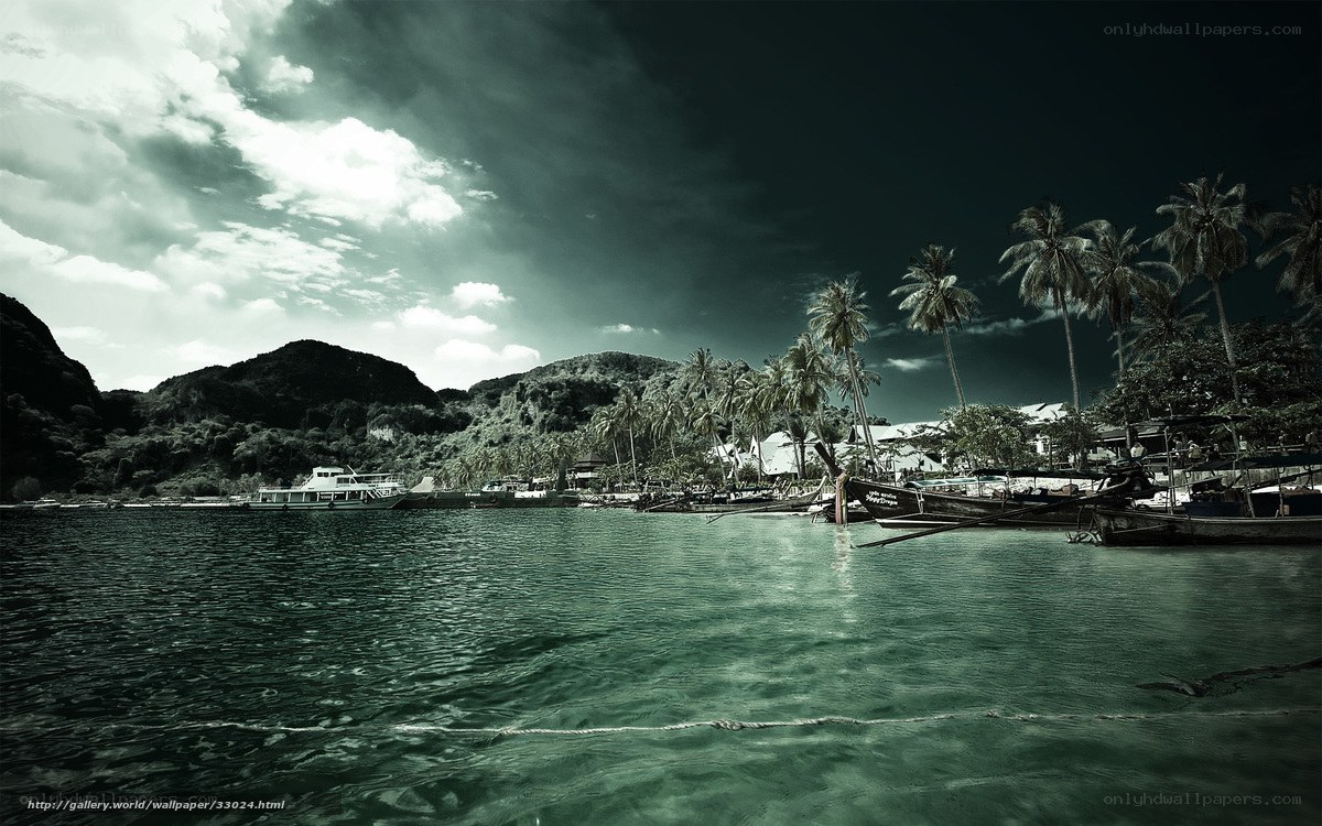 tropical harbor with boats