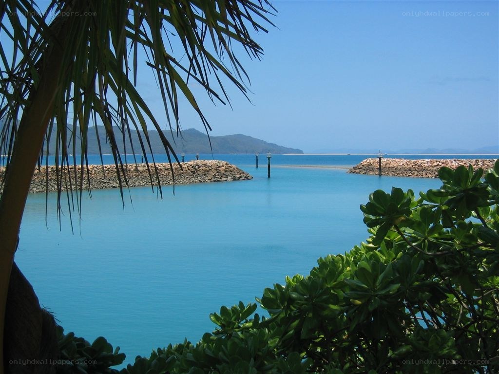 tropical harbor with palm trees