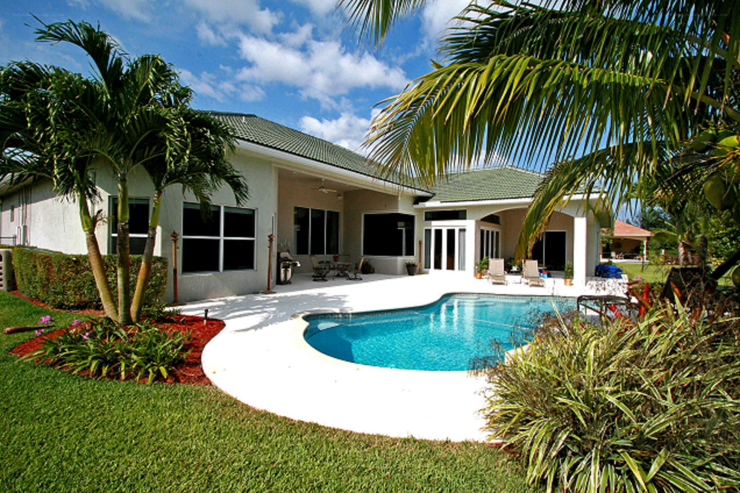 tropical home with pool and palm trees