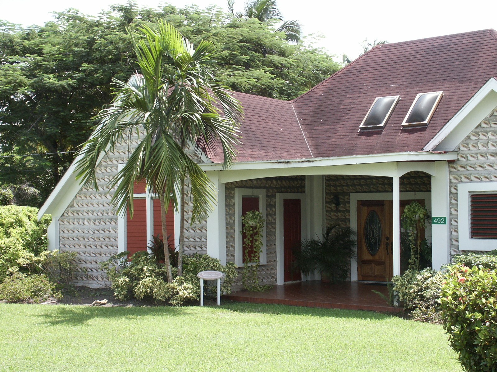 tropical house with palm tree