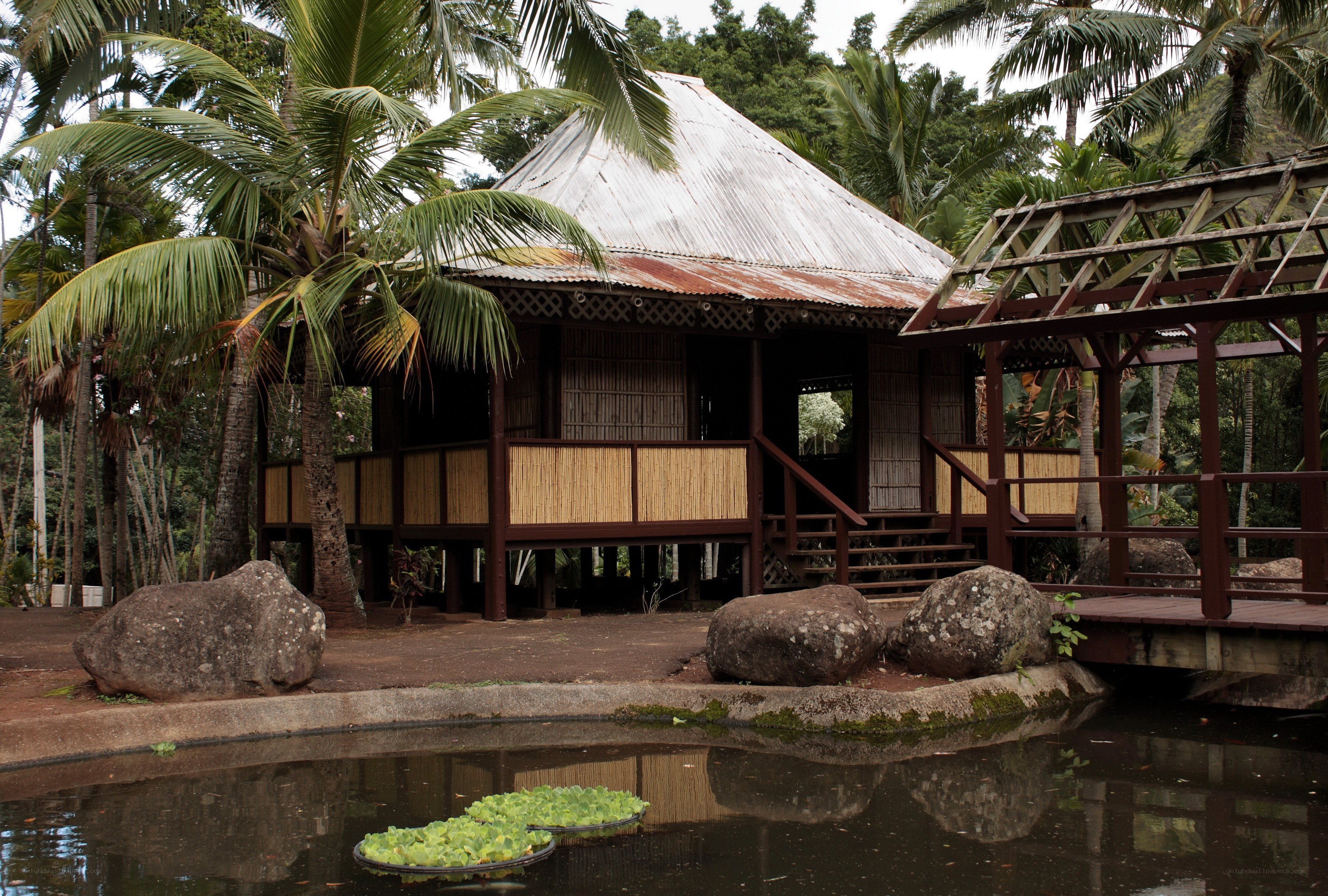 Tropical hut by a pond