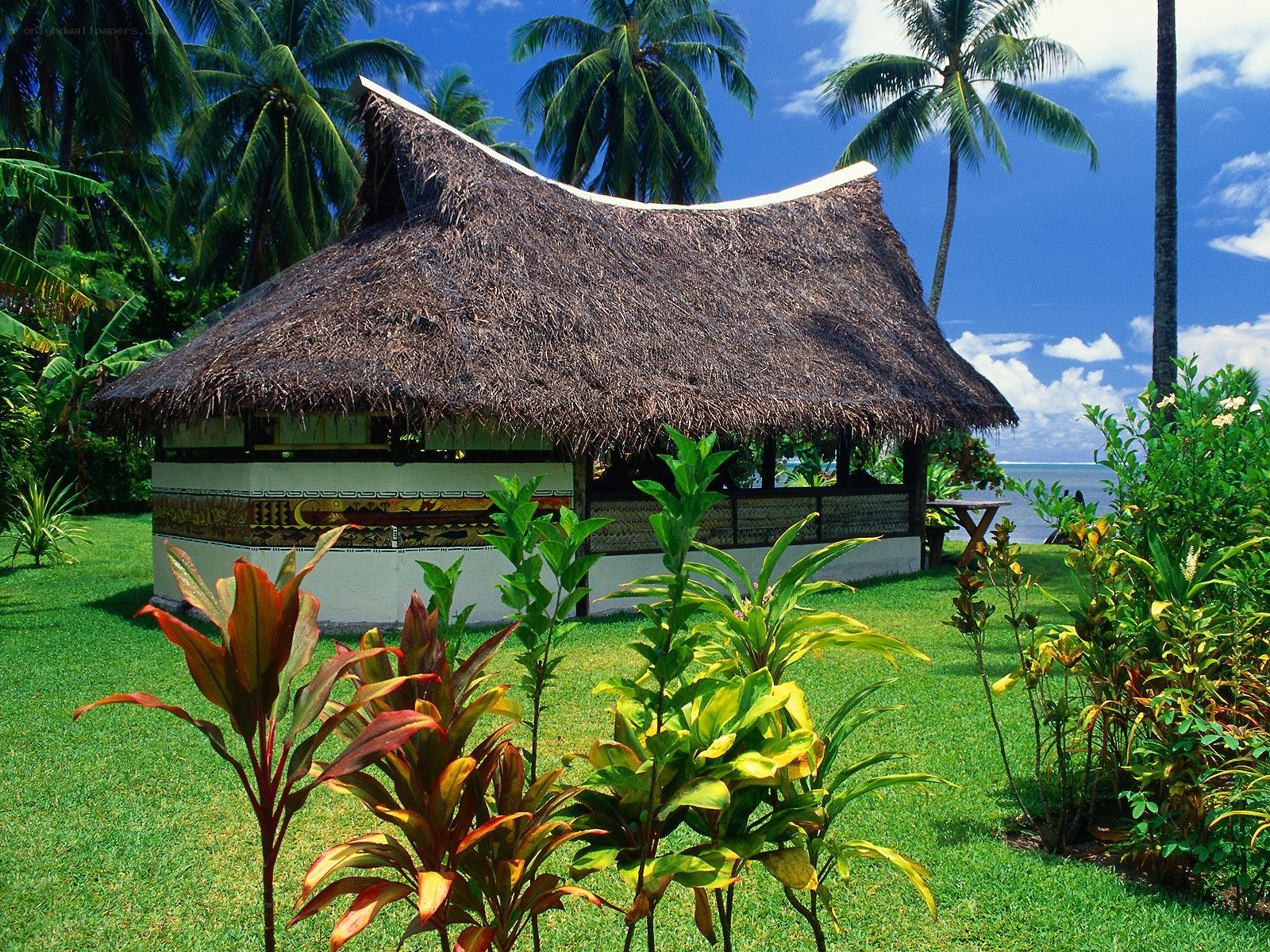 Tropical hut by the ocean