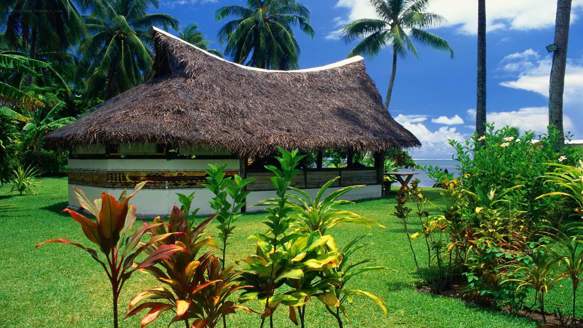 Tropical hut by the ocean