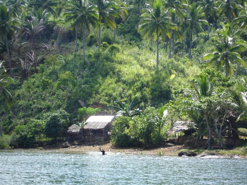 Tropical hut by the water