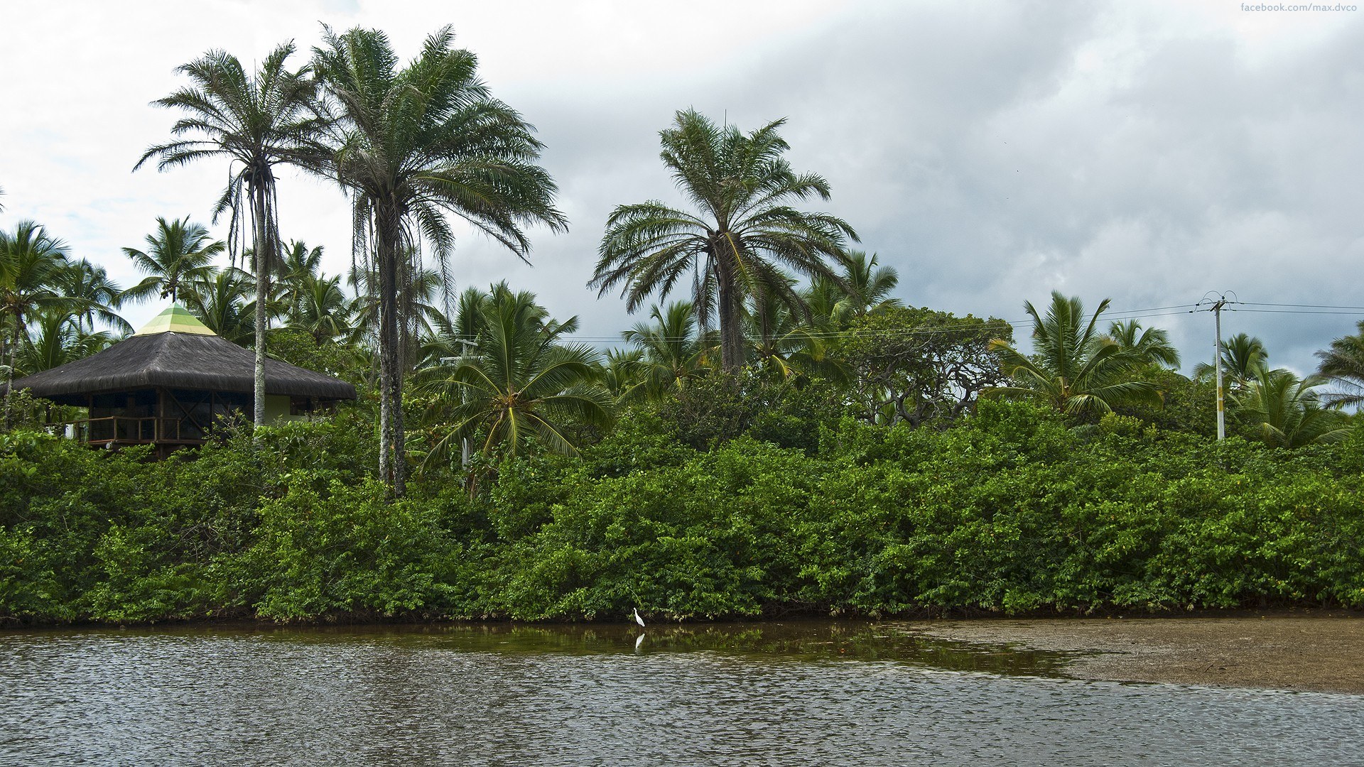 tropical hut by the water