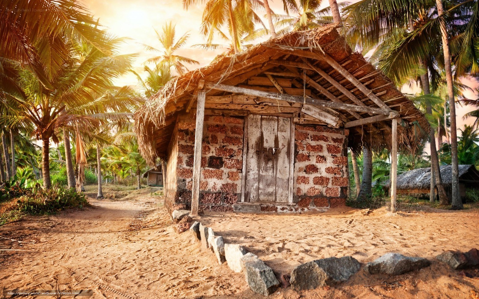 tropical hut in palm grove