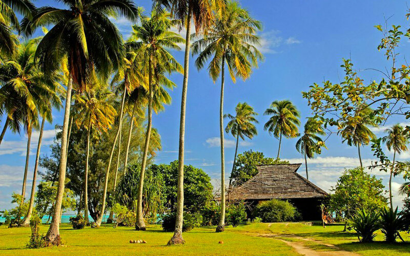 Tropical Hut with Palm Trees