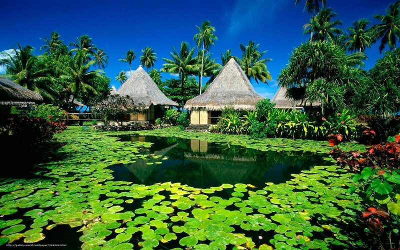Tropical Huts with Lily Pads