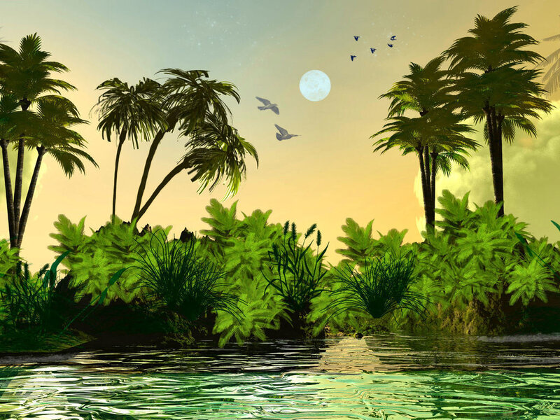 Tropical Island at Dusk — Green, Serene