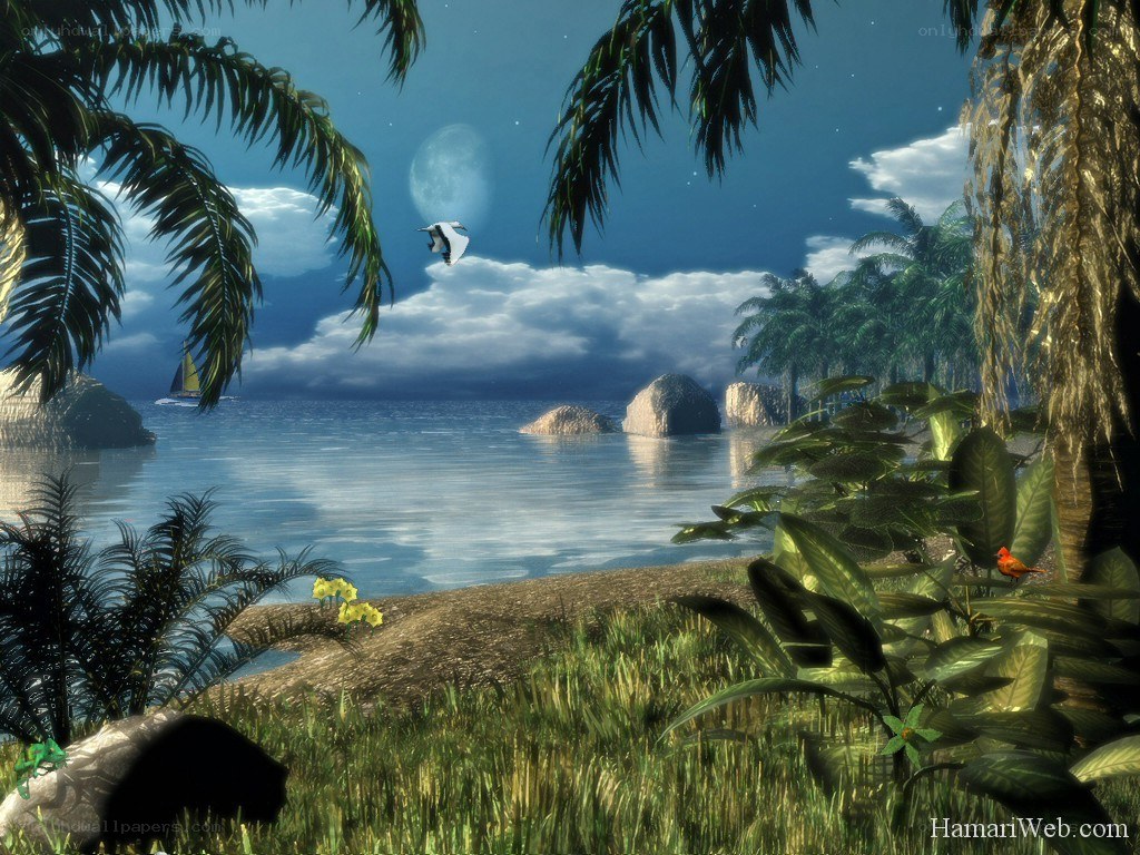 Tropical island at night