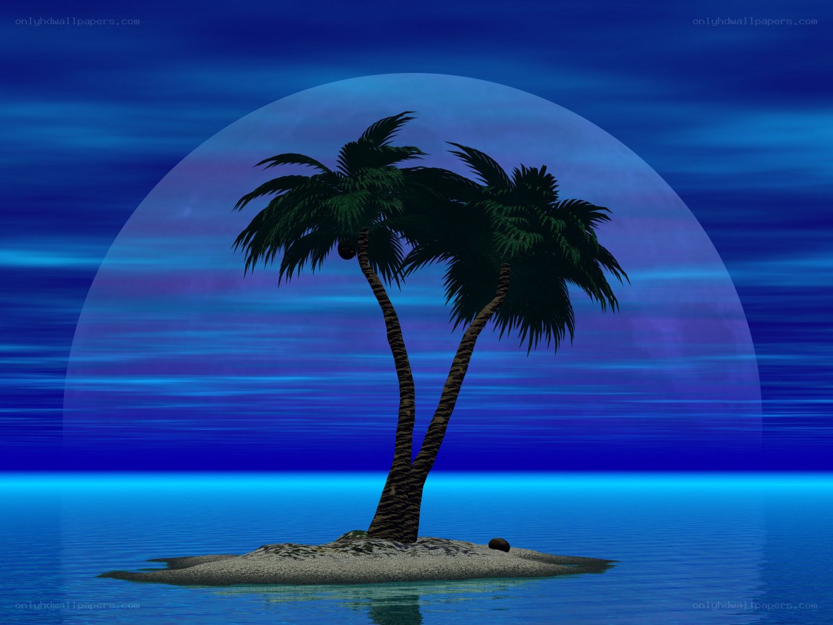 Tropical island at night