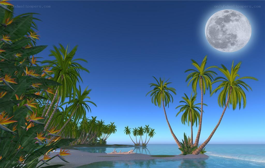 tropical island at night