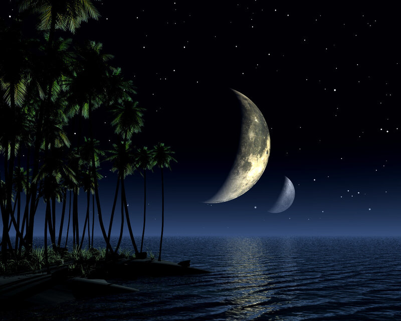 Tropical Island at Night — Black, Serene