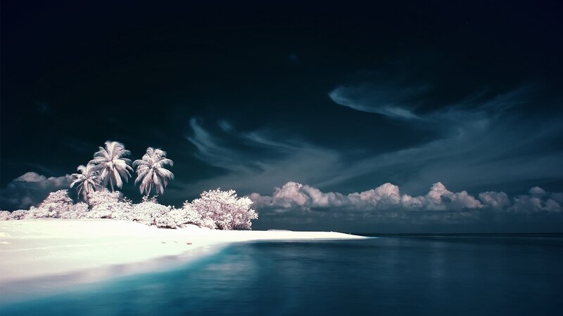 Tropical Island at Night — Blue, Dramatic, Photograph, Palm Trees