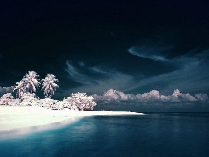 Tropical Island at Night — Blue, Dramatic, Photograph