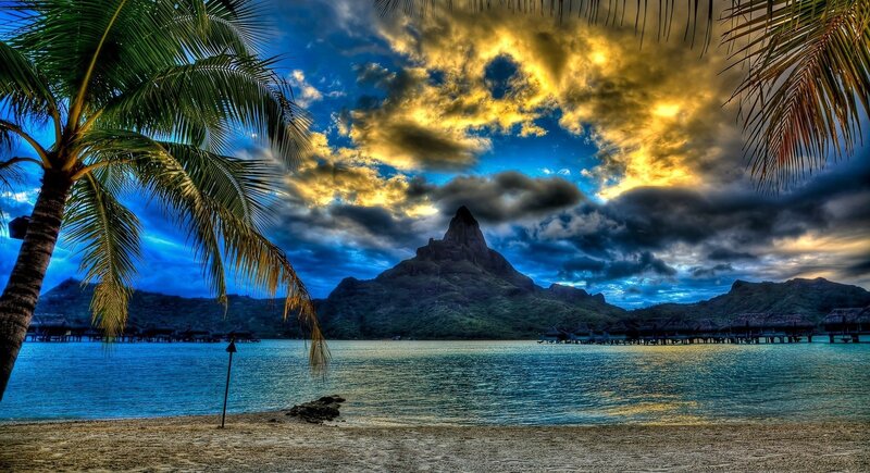 Tropical Island at Sunset — Blue, Dramatic, Photograph, Palm Tree