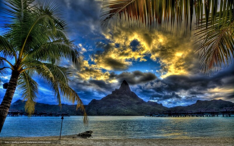 Tropical Island at Sunset — Blue, Dramatic, Photograph, Palm Trees