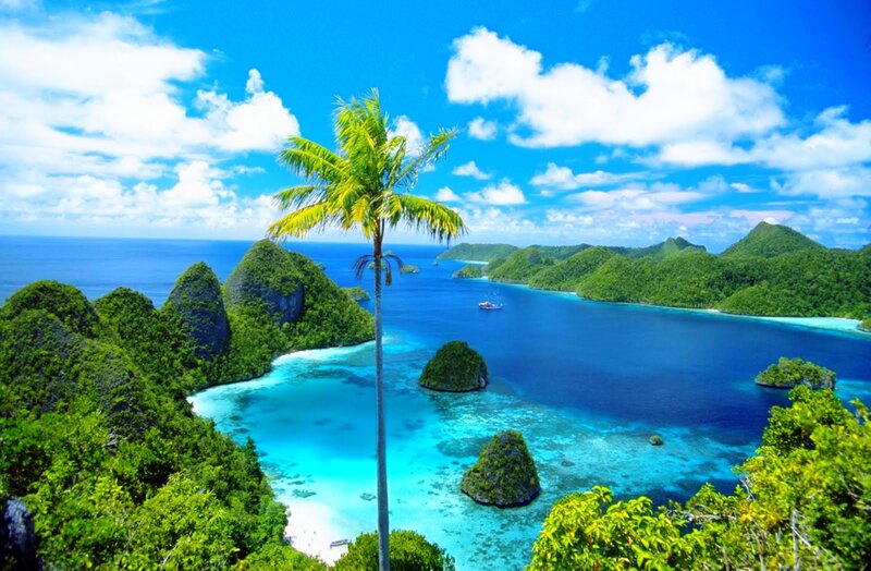 Tropical Island Bay — Blue, Serene, Afternoon, Photograph, Palm Tree, Islands