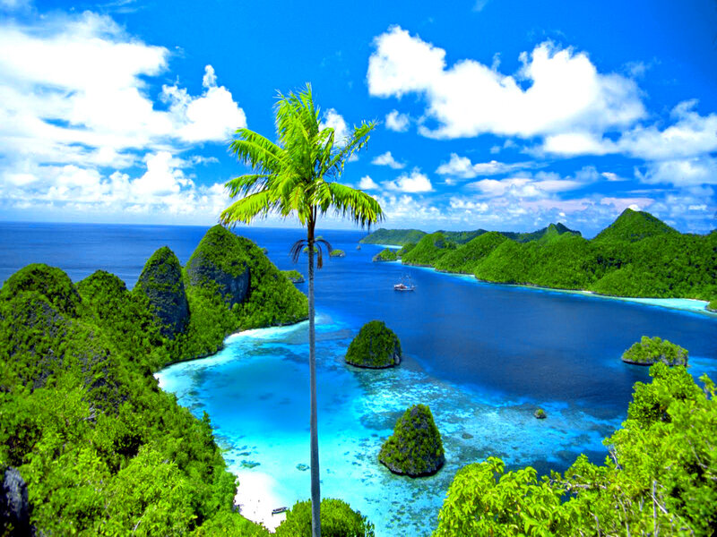 Tropical Island Bay — Blue, Serene, Afternoon, Photograph, Palm Tree