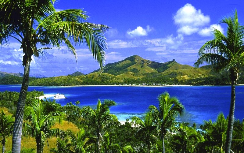 Tropical Island Bay — Blue, Serene, Afternoon, Photograph, Palm Trees