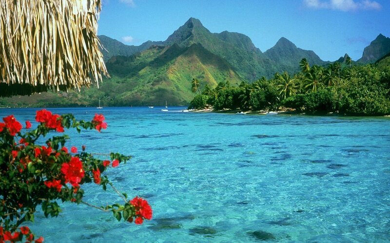 Tropical Island Bay — Blue
