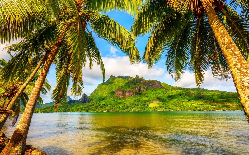 Tropical Island Bay — Green, Serene, Afternoon, Photograph