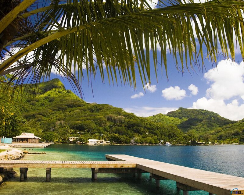 Tropical Island Bay — Green