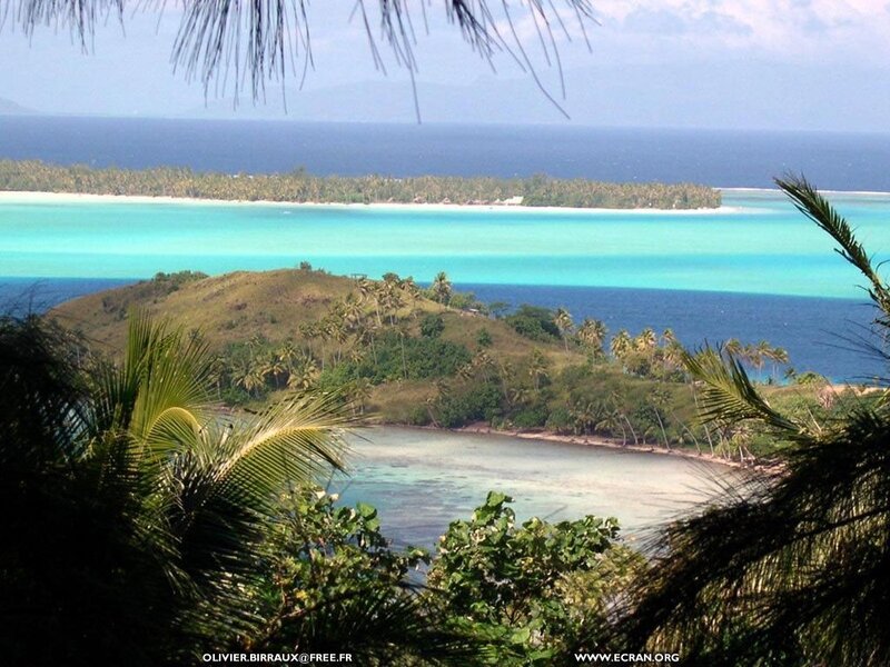 tropical island bay view