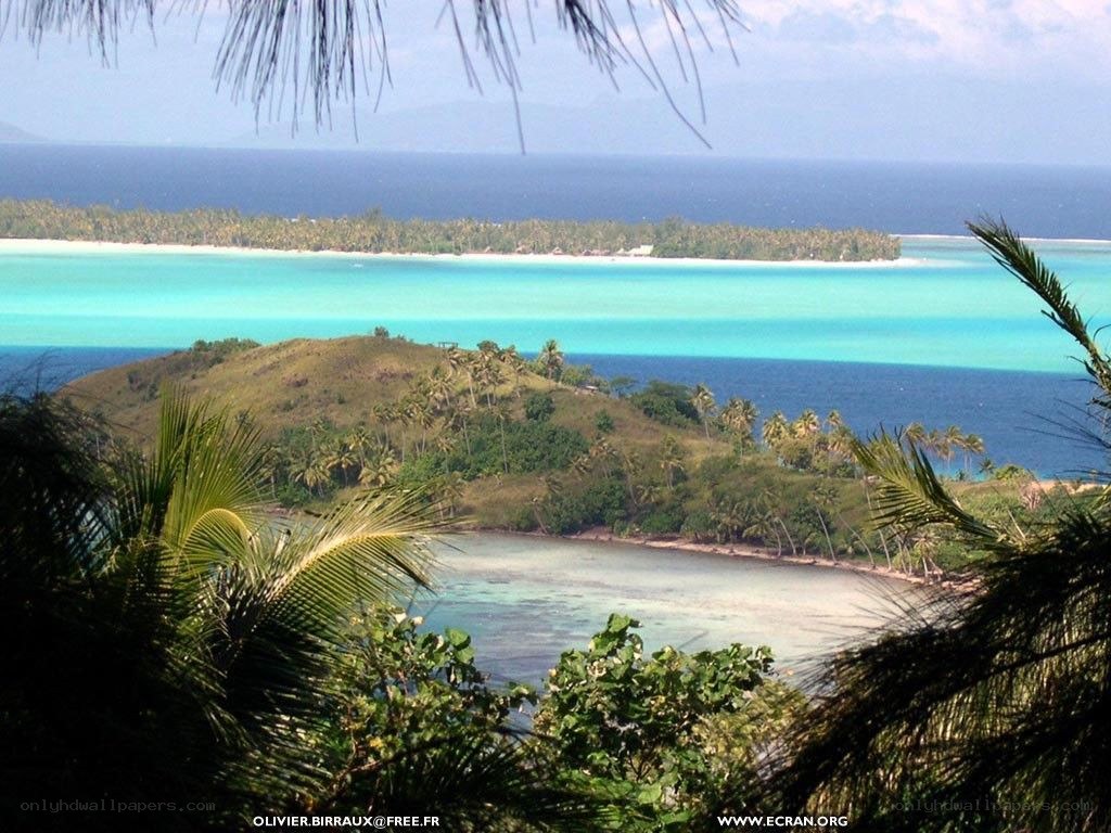 tropical island bay view