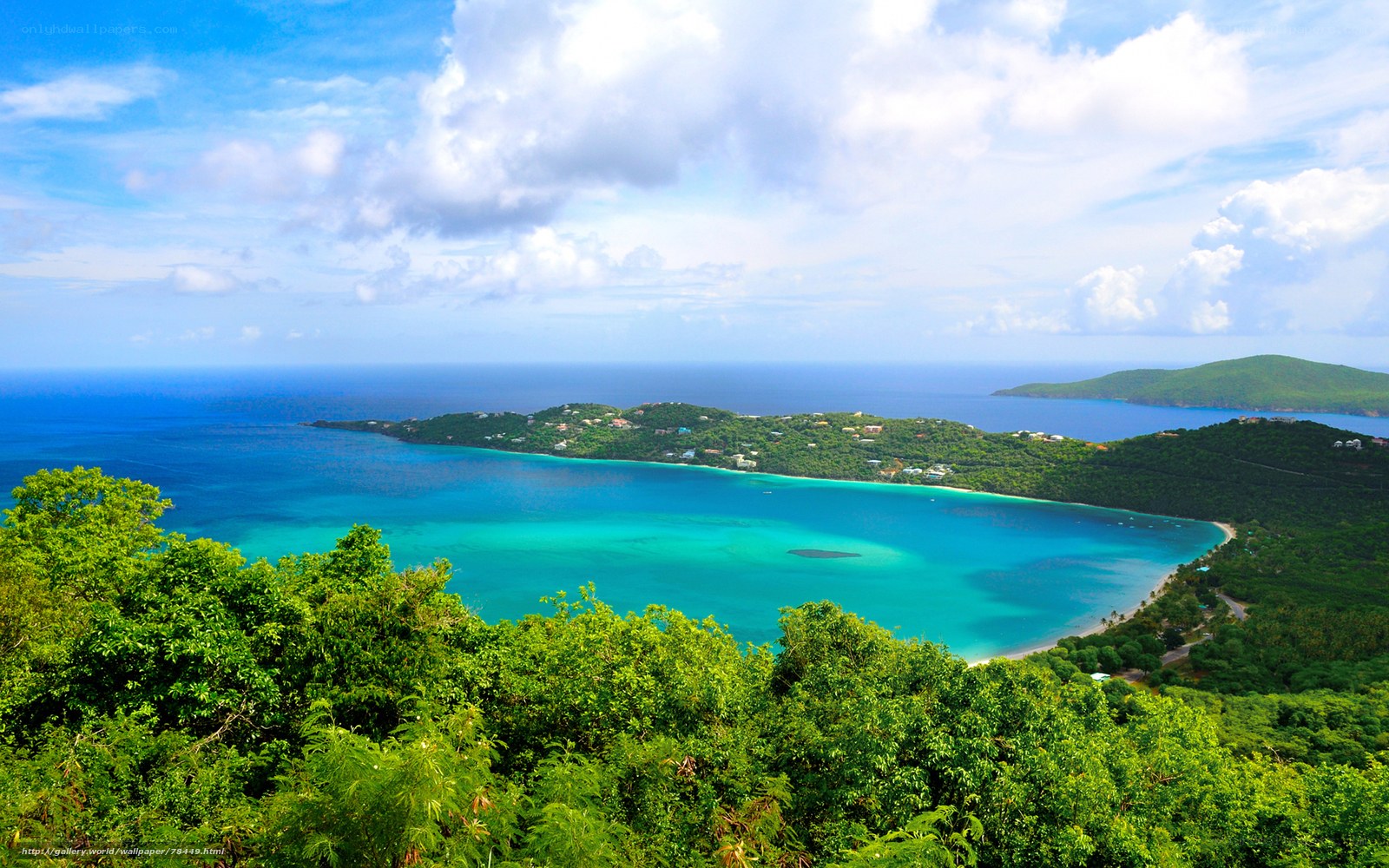 tropical island bay view